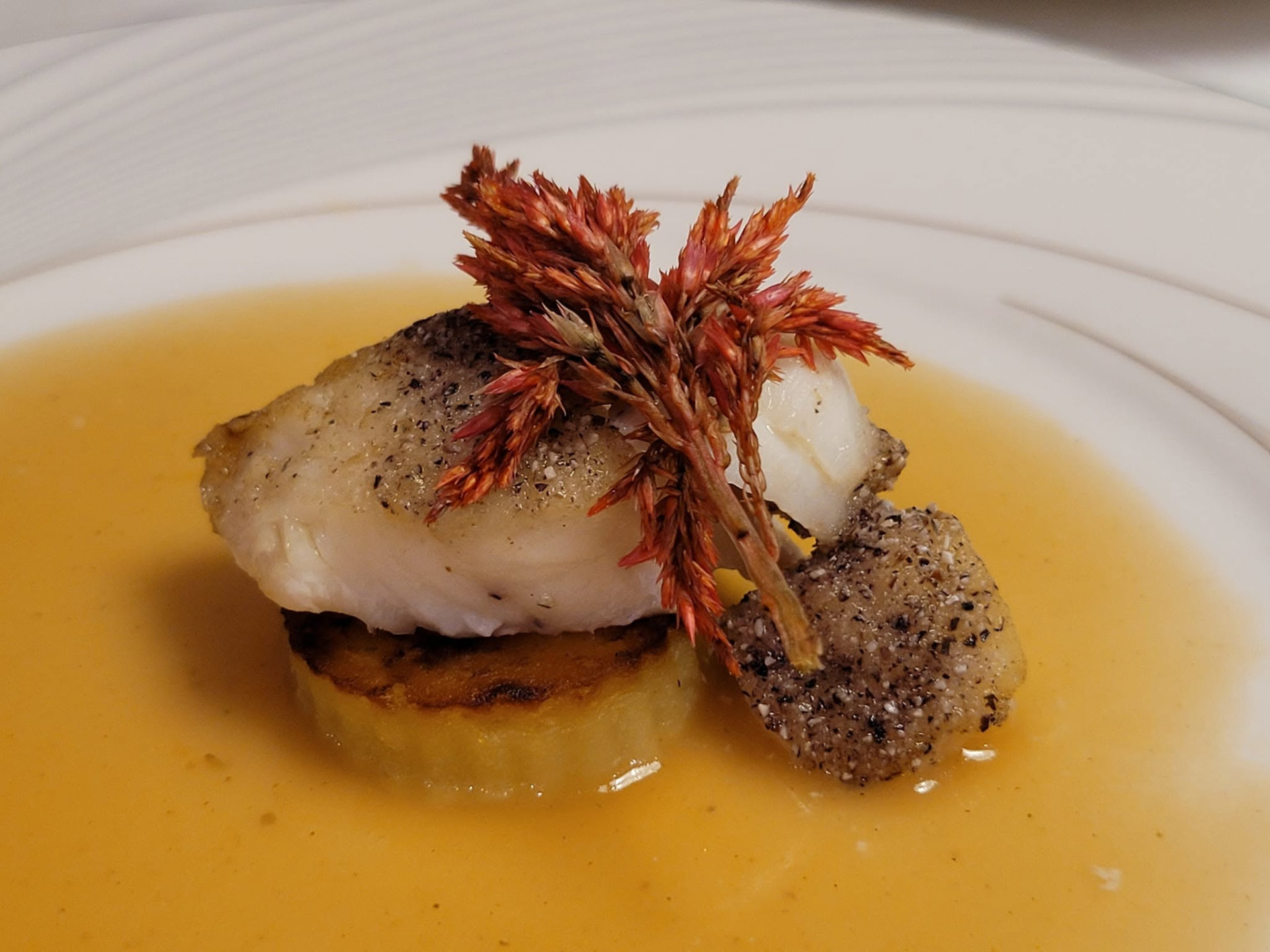Pan-Seared Catch, Saffron Velouté